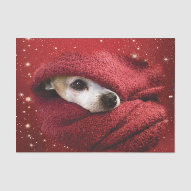 Papier Mousseline Holiday Chihuahua (Recto)