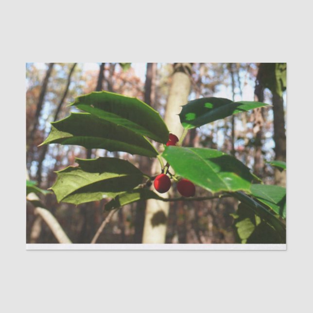Papier Mousseline Holly Leaves (Recto)