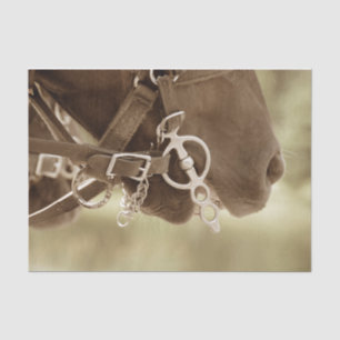 Papier Mousseline Horse Western Vintage Brown Green Rustic Decoupage