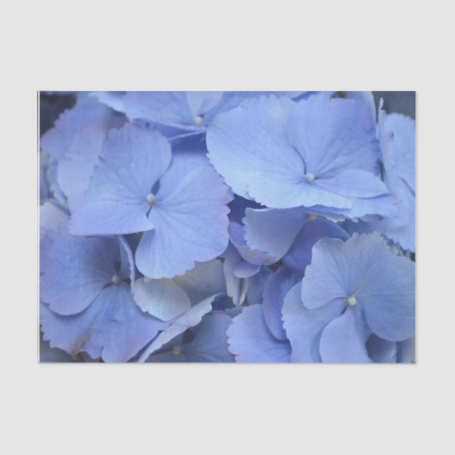 Papier Mousseline Hortensia assez bleu (Recto)