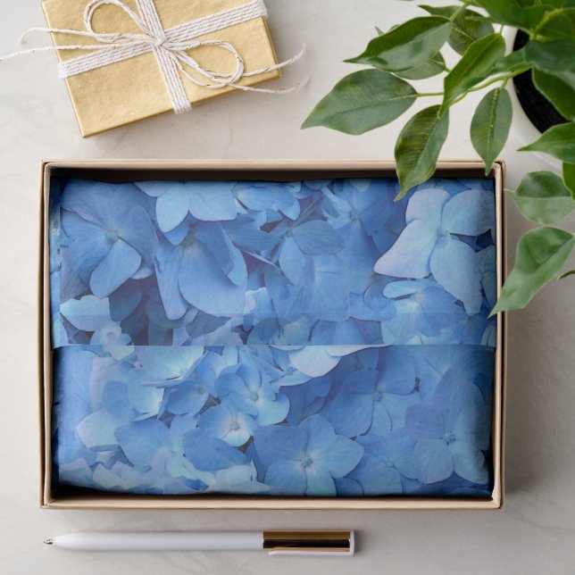 Papier Mousseline Hortensias bleus Fleurs réelles  (Cadeau)