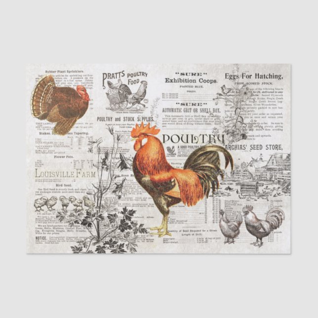 Papier Mousseline Horticulture de coq rustique Annonces Ephemera Kra (Recto)