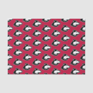 Papier Mousseline Huskies du nord de l'Illinois Diplôme