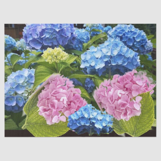 Papier Mousseline Hydrangea Florale Craft découpage bleu rose (Recto)