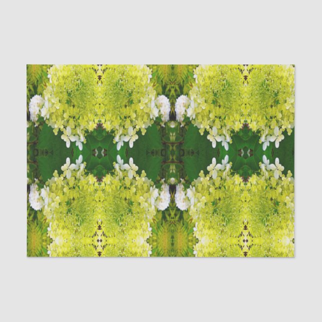 Papier Mousseline Hydrangea Limelight Vert Chartreuse Élégant (Recto)