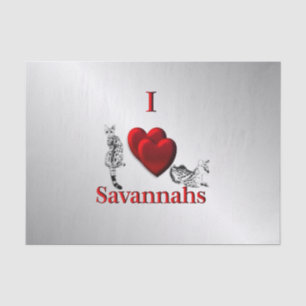 Papier Mousseline I Heart Savannah Chat Argent