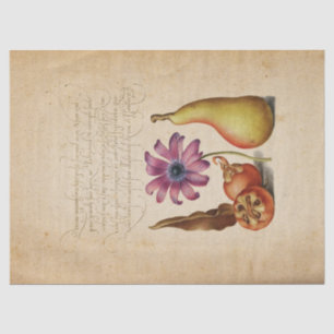 Papier Mousseline Illuminated Manuscript Calligraphy Tissue Paper