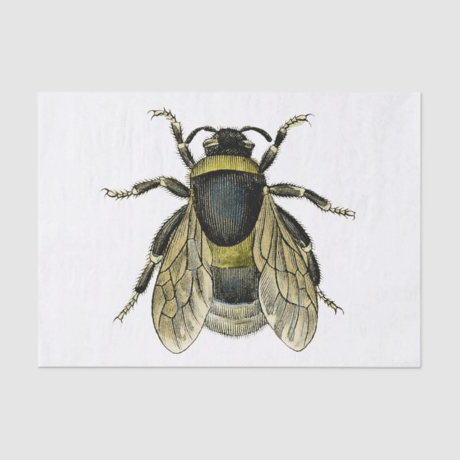 Papier Mousseline Illustration d'abeilles (Recto)