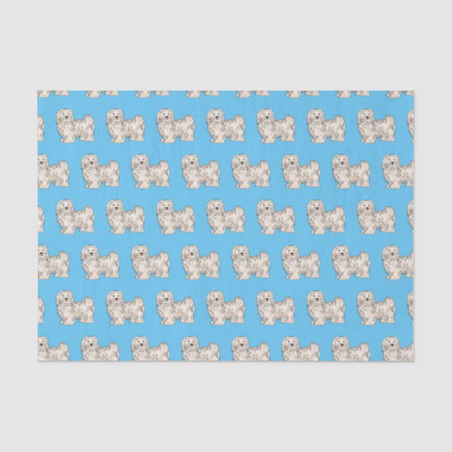 Papier Mousseline Illustration de dessin de chien de Havan (Recto)
