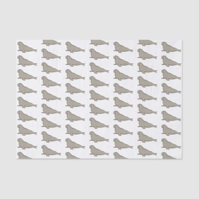 Papier Mousseline Illustration de dessin de phoque éléphant (Recto)