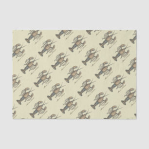 Papier Mousseline Illustration de homard, fruits de mer du Maine