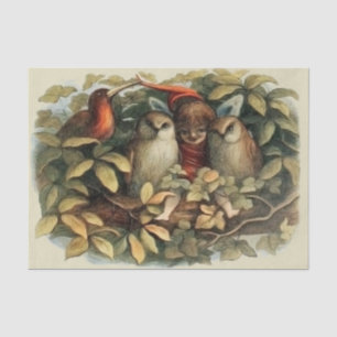 Papier Mousseline Illustration de la nature des hiboux et des fées e