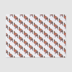 Papier Mousseline Illustration de la tragédie de Cabot