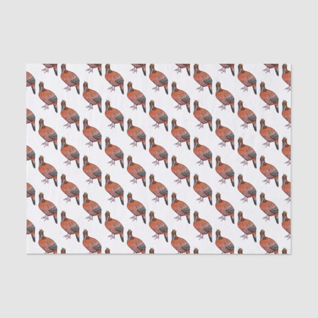 Papier Mousseline Illustration de la tragédie de Cabot (Recto)