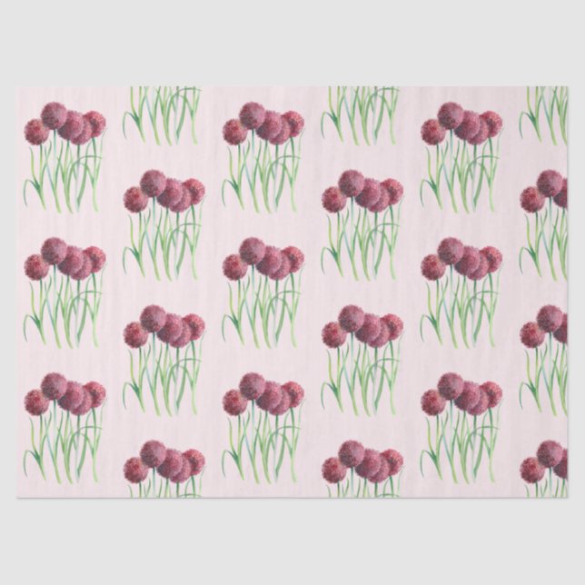 Papier Mousseline Illustration de l'aquarelle violette rose Alliums (Recto)