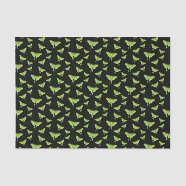 Papier Mousseline Illustration de Luna Moth (Recto)