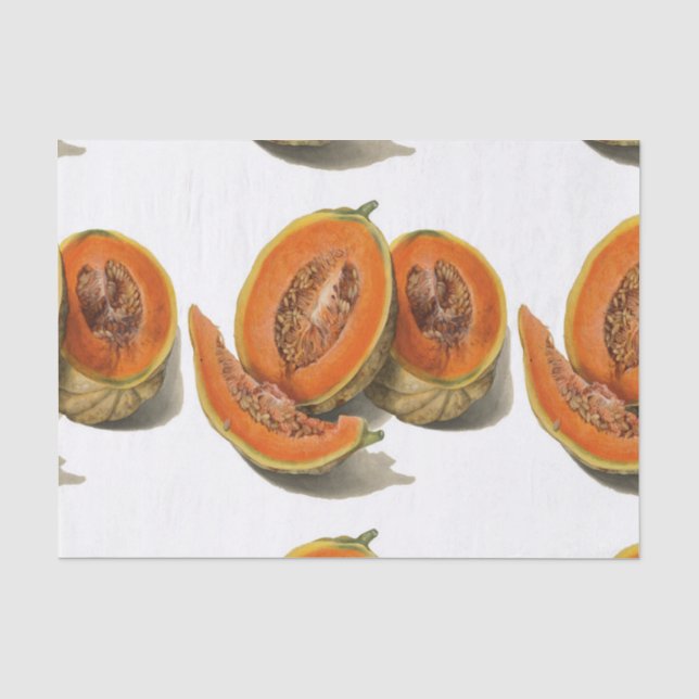 Papier Mousseline Illustration de melon de cantaloupe coupé (Recto)