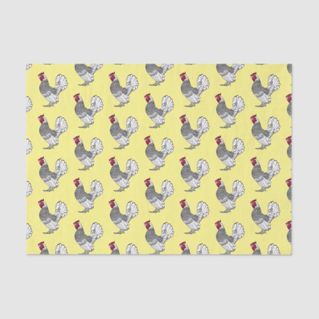 Papier Mousseline Illustration de poulet Sebright (Recto)