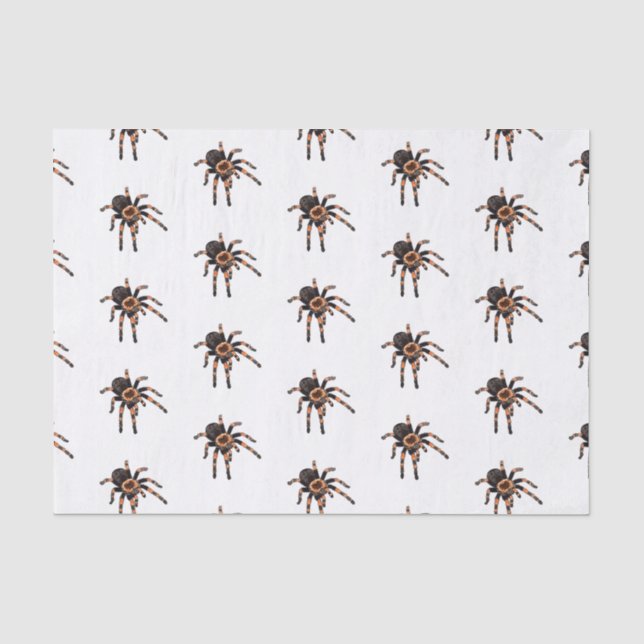 Papier Mousseline Illustration de Tarantula (Recto)