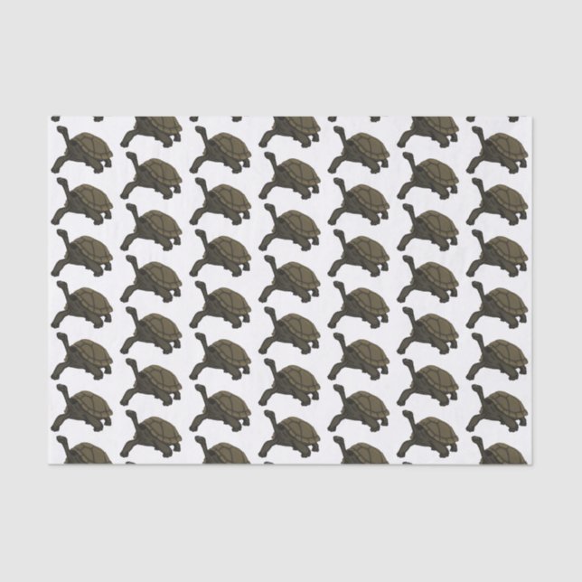 Papier Mousseline Illustration de tortue terrestre des Galapagos (Recto)