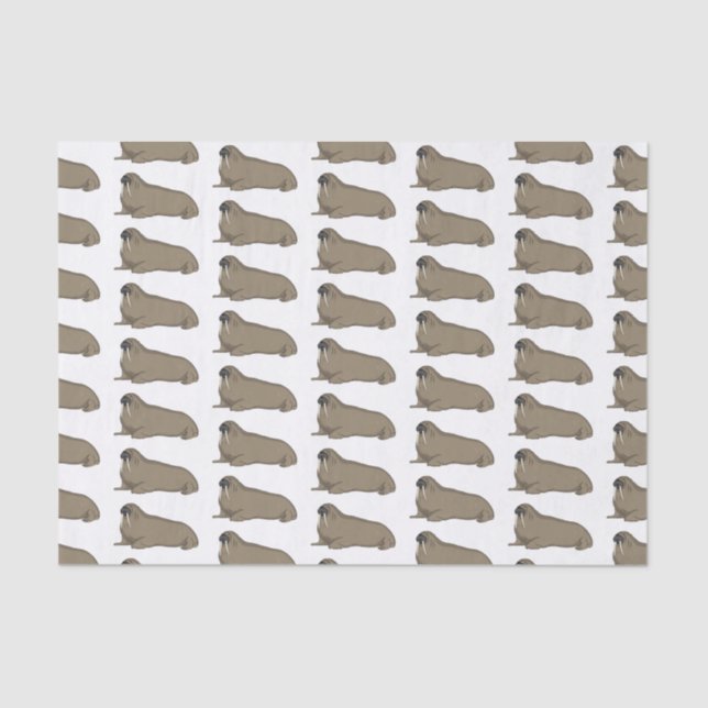 Papier Mousseline Illustration de Walrus (Recto)