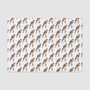 Papier Mousseline Illustration d'oiseau américain Kestrel