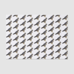 Papier Mousseline Illustration d'oiseau de faucon pèlerin