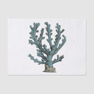 Papier Mousseline Illustration du corail marin antique