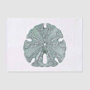 Papier Mousseline Illustration du dollar de sable antique