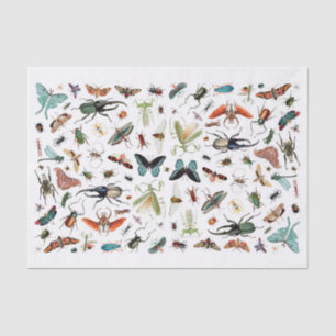 Papier Mousseline Illustration du livre Vintage sur les insectes et