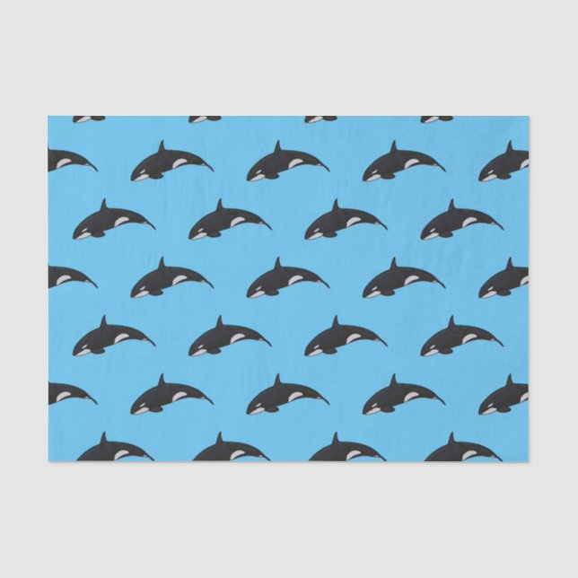 Papier Mousseline Illustration d'une baleine tueuse (Recto)