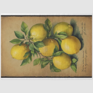 Papier Mousseline Illustration Fruit Citron Ephémère No1