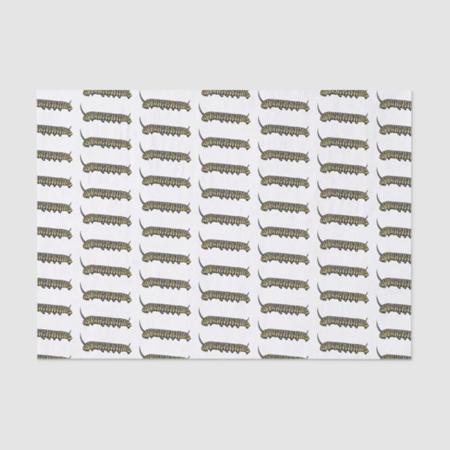Papier Mousseline Illustration Monarch caterpillar (Recto)