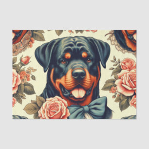 Papier Mousseline Illustration Retro Rottweiler