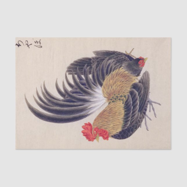Papier Mousseline Illustration vintage : bantam japonais (Recto)
