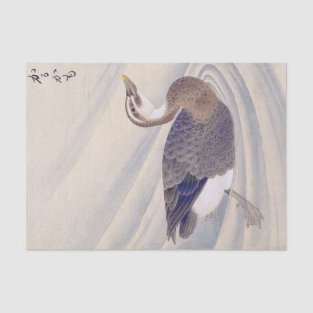 Papier Mousseline Illustration vintage : canard à bec plat (Recto)