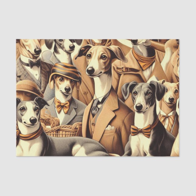 Papier Mousseline Illustration vintage de Greyhound (Recto)