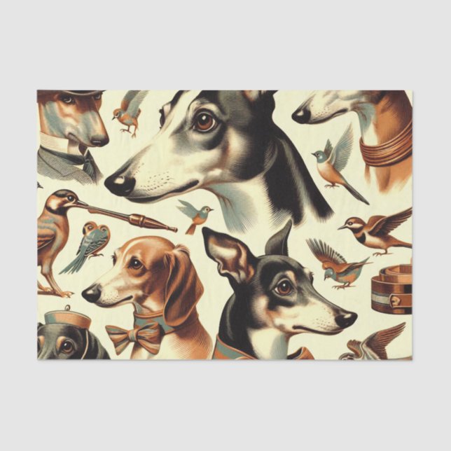 Papier Mousseline Illustration vintage de Greyhound (Recto)