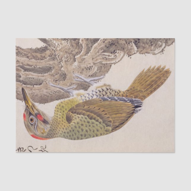 Papier Mousseline Illustration vintage : Pic de bois (Recto)