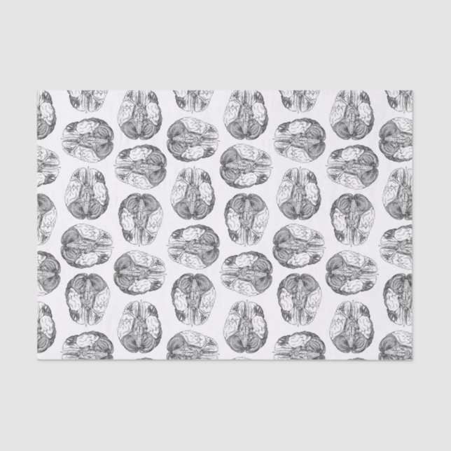 Papier Mousseline Illustrations antiques de diagramme de cerveau (Recto)