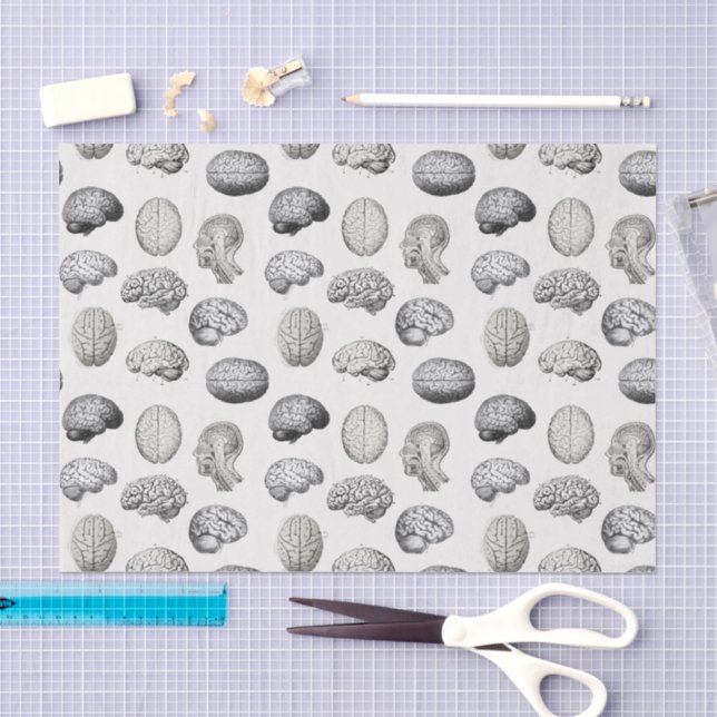 Papier Mousseline Illustrations d'anatomie cérébrale et de biologie (Artisanat)