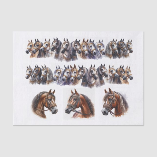 Papier Mousseline Illustrations de chevaux incluant deux longues ran (Recto)