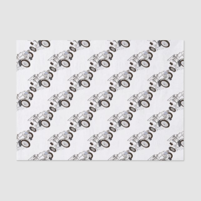 Papier Mousseline illustrations de couleurs (Recto)