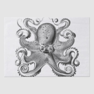 Papier Mousseline Image de pieuvre noire par Ernst Haeckel
