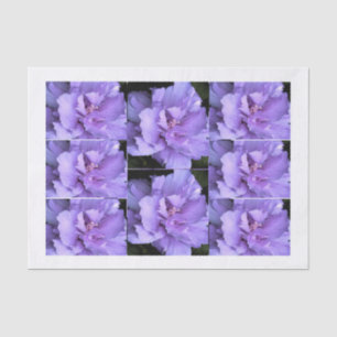 Papier Mousseline Images multi roses de Sharon de lavande