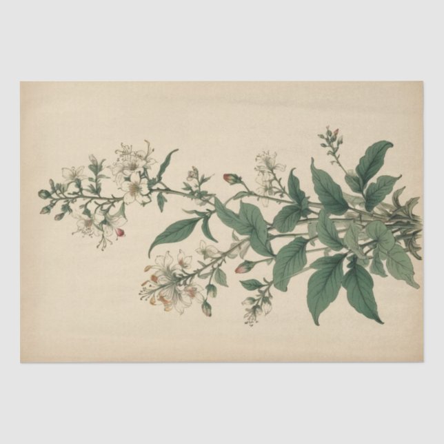 Papier Mousseline Impression de fleurs sauvages vintage (Recto)