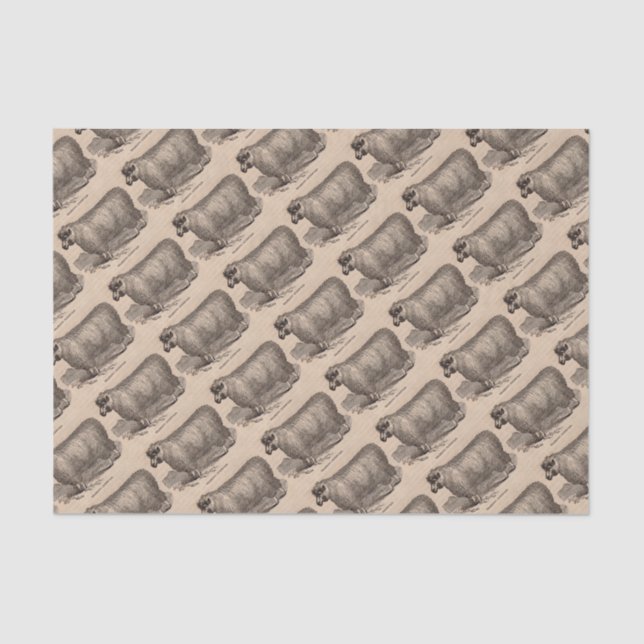 Papier Mousseline Imprimé au 19e siècle année Cotswold brebis (Recto)