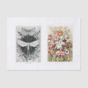 Papier Mousseline Insecte du jardin et découpage floral