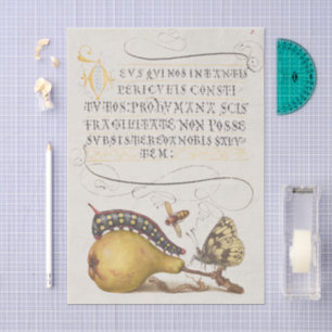 Papier Mousseline Insectes de jardin, mouche, chenille, poire, mille