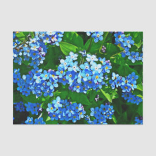 Papier Mousseline Inspirations de la nature Bleu clair Oubliez-moi N